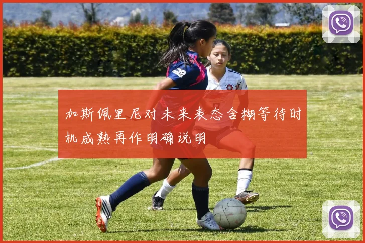 加斯佩里尼对未来表态含糊等待时机成熟再作明确说明