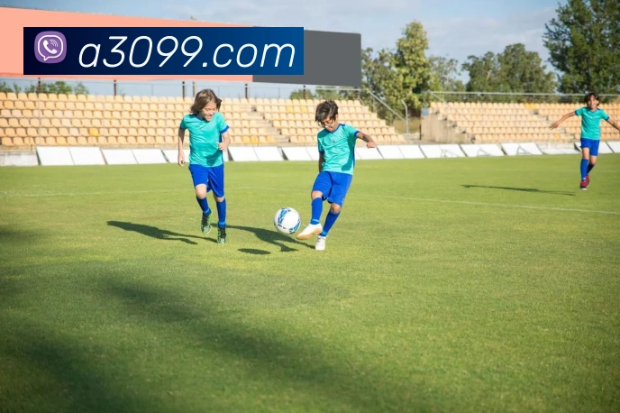 开云app服务体系